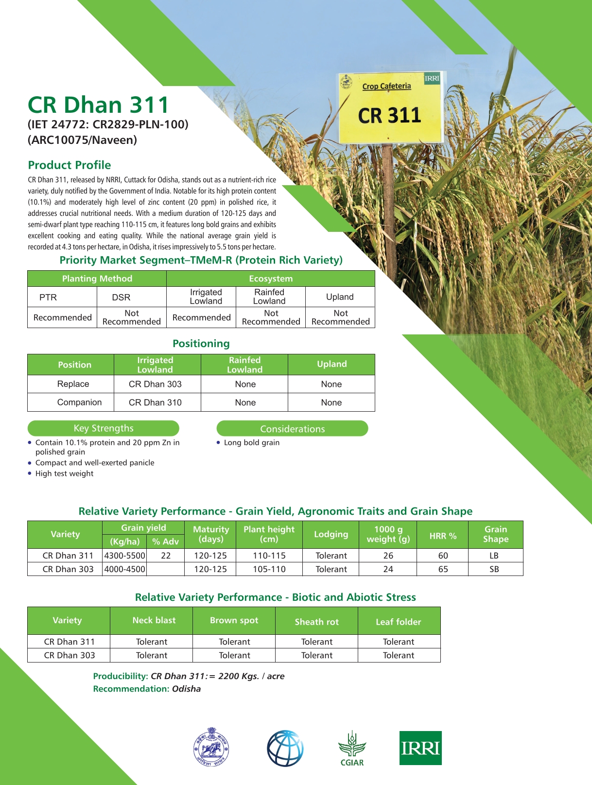 CR Dhan 311 - Rice Based Cropping Systems