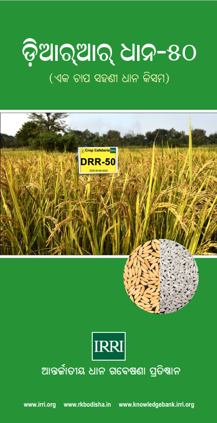Production Practices of DRR Dhan-50 Rice Variety - Rice Based Cropping ...